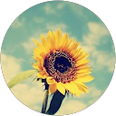 Susan Lin profile picture